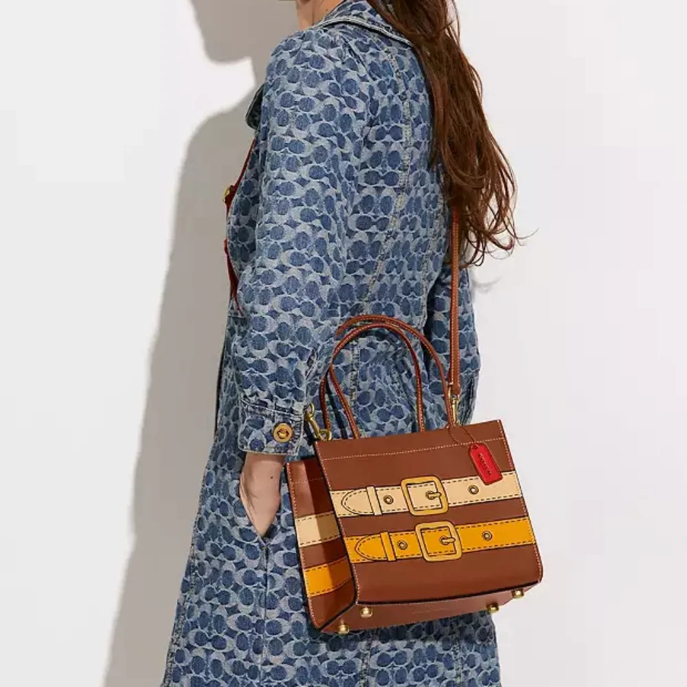 Cashin Carry Bag 22 With Trompe L'oeil Print, Saddle Multi 2022 Runway